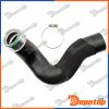 Gaine de suralimentation pour AUDI | GPP-AU-082, 09746